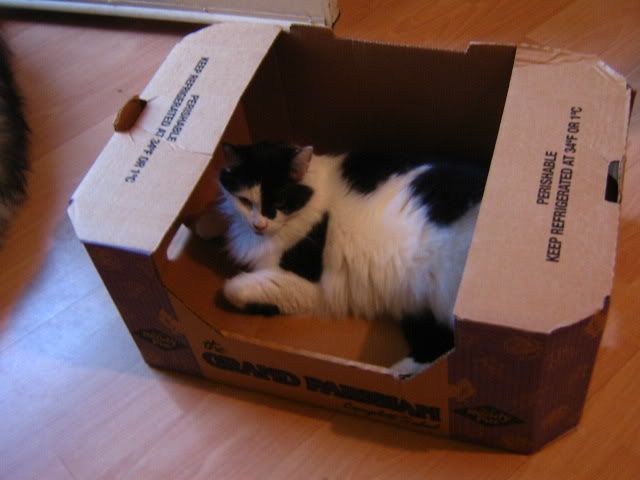027-2.jpg