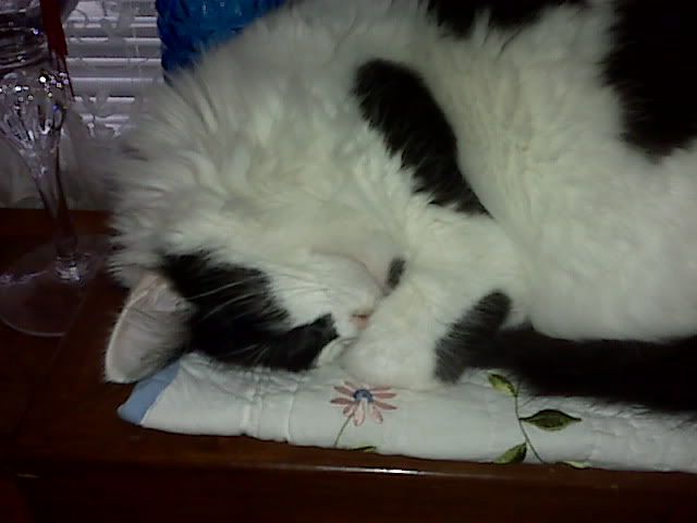 IMG00757-20110108-0936.jpg