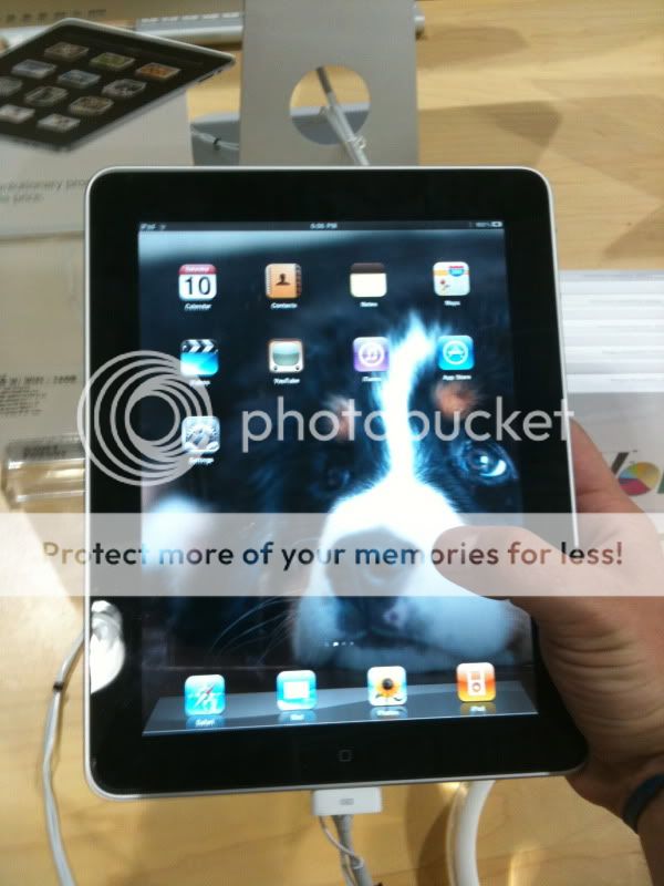 iPadDoggie.jpg