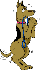 begging_dog.gif