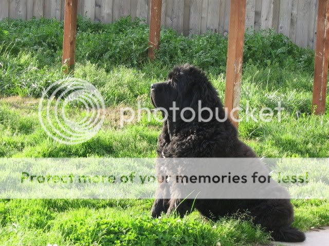 IMG_1918.jpg