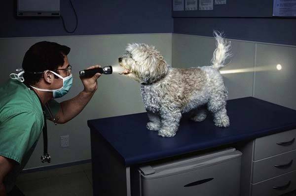 funny-pictures-34.jpg