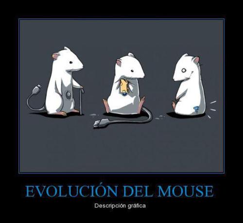 evolucion_mouse.jpg